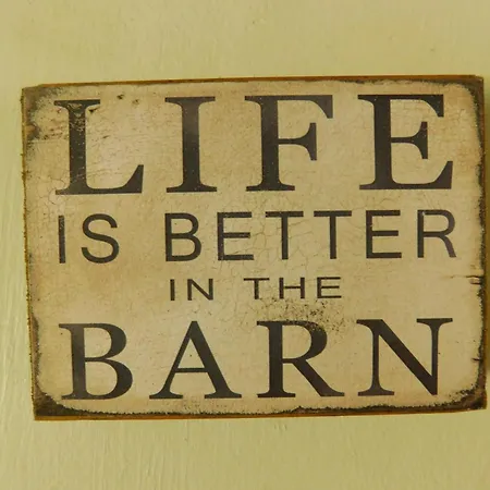 Country Living At The Barn Villa Chiefland Exterior photo