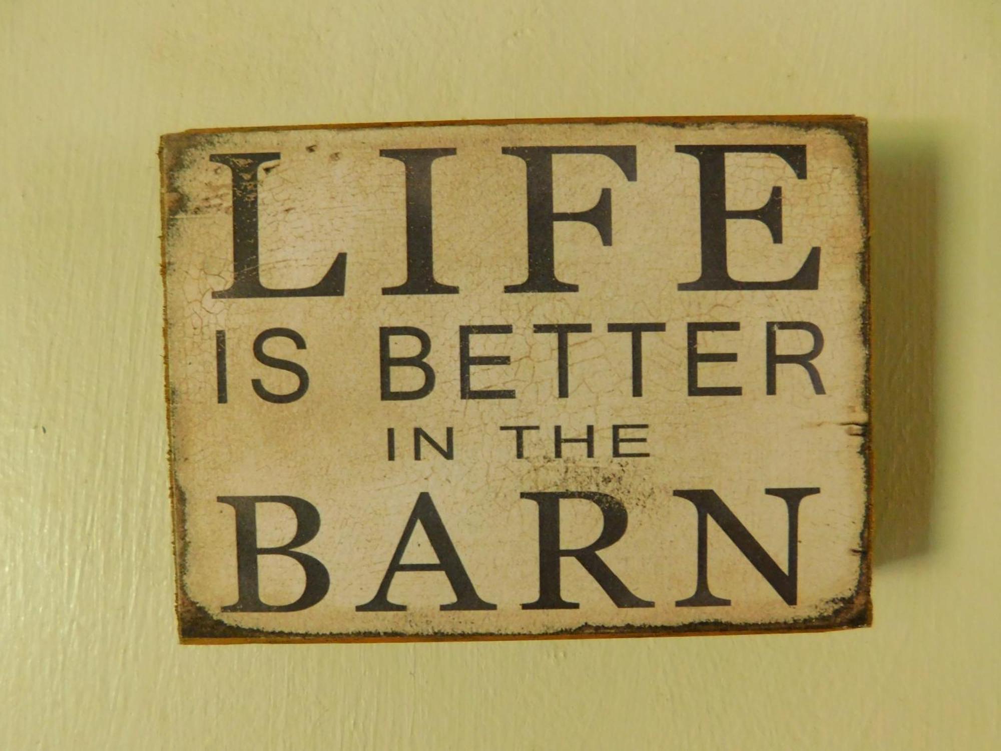 Country Living At The Barn * Chiefland